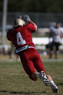 开云官网-NBA球队战术执行与临场应变分析,nba比赛战术分析